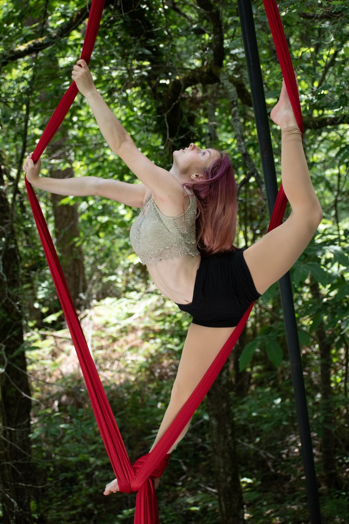 Les artistes de la programmation 2025